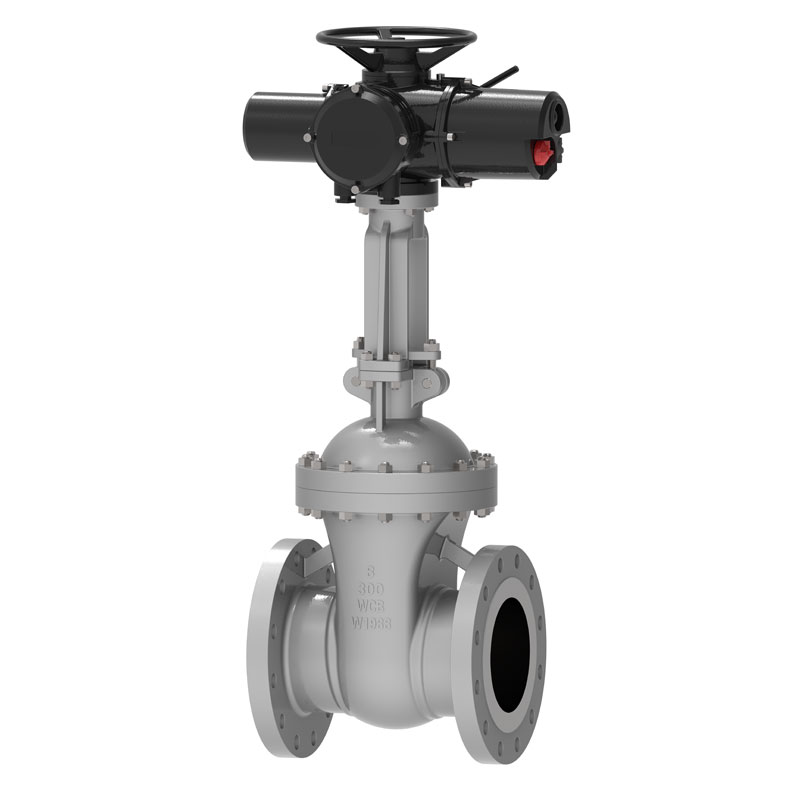 Elektromos API 600 Gate Valve